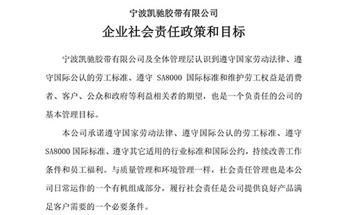 企业社会责任政策、目标